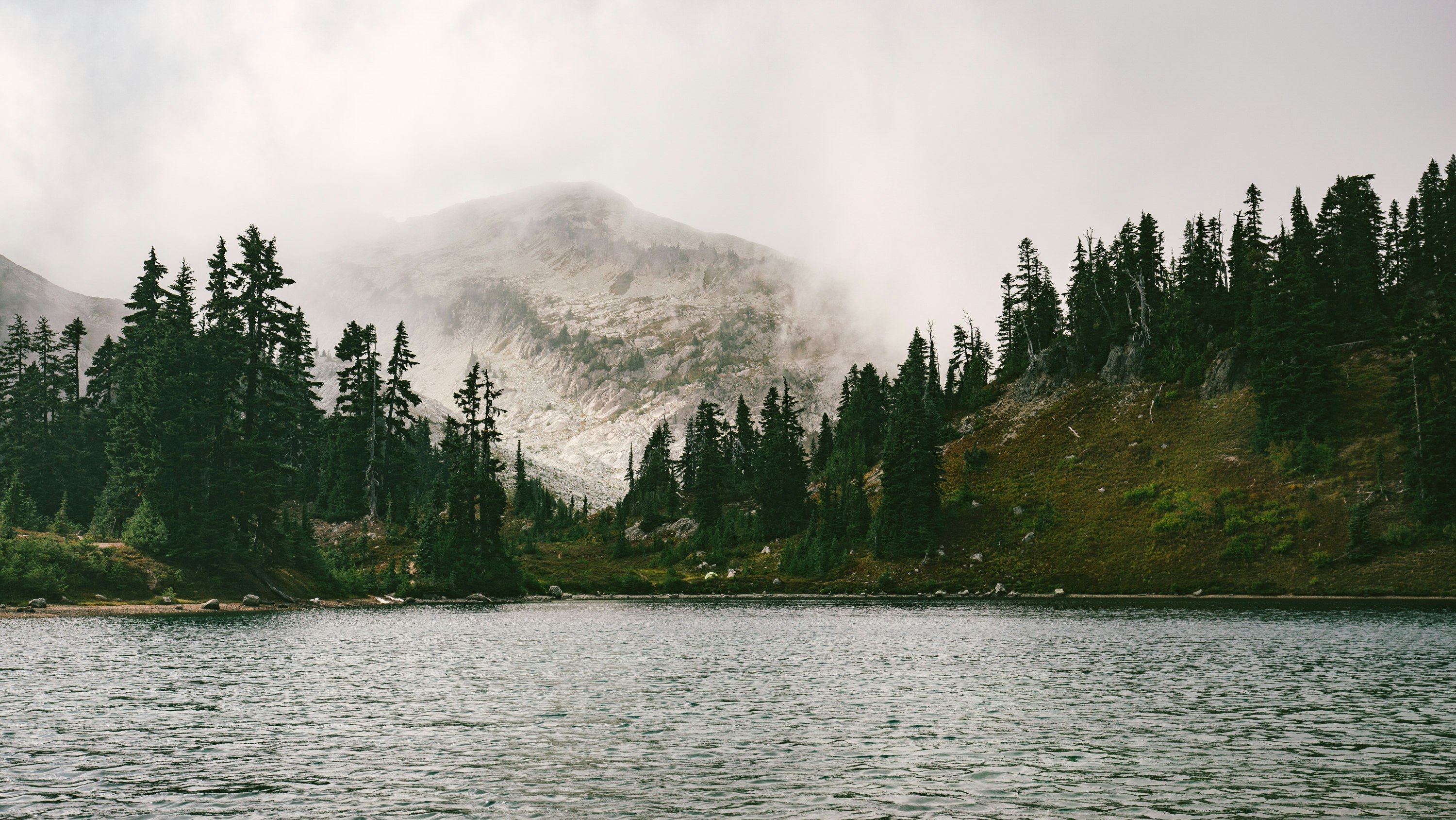 lake in forest near mountain